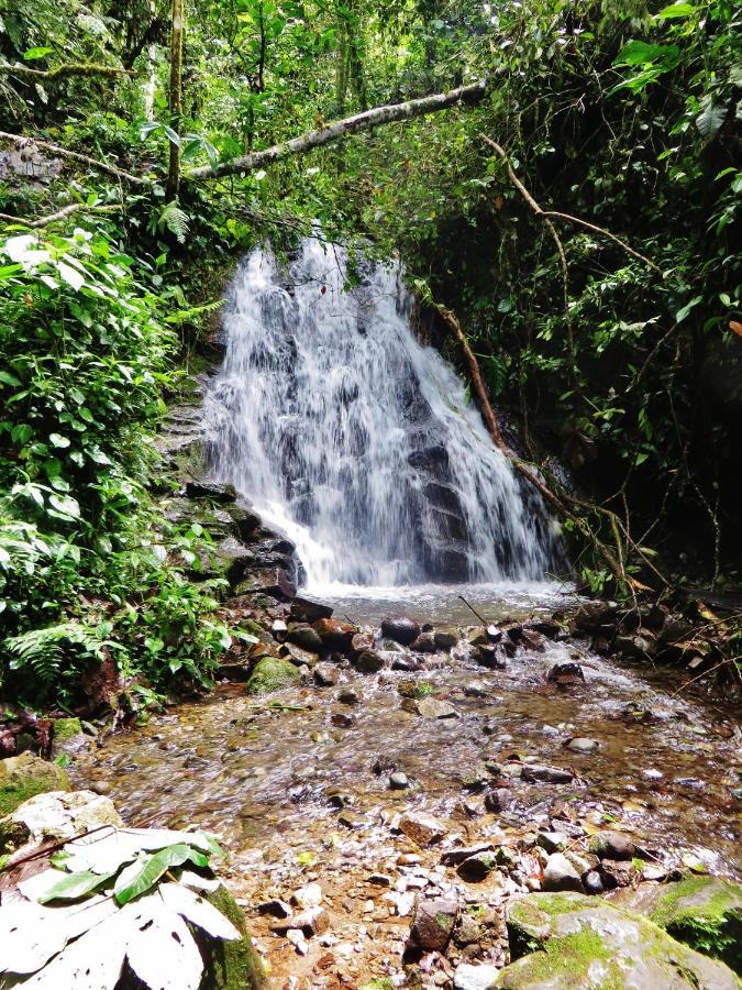 Mindo Eco Chalet Con Rio Y Cascada Esterno foto