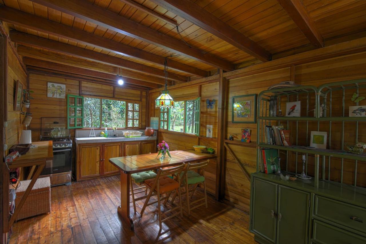 Mindo Eco Chalet Con Rio Y Cascada Esterno foto