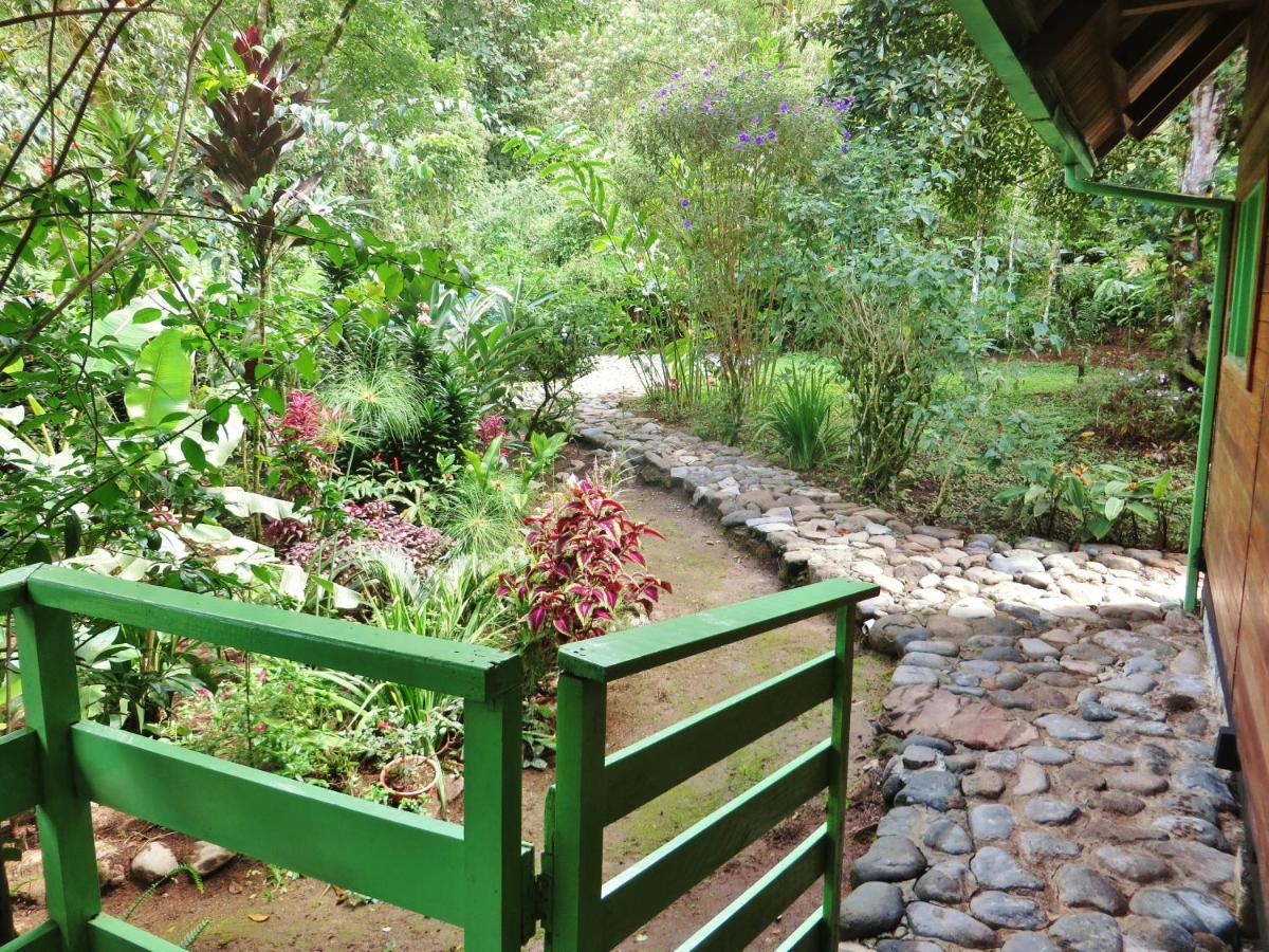 Mindo Eco Chalet Con Rio Y Cascada Esterno foto