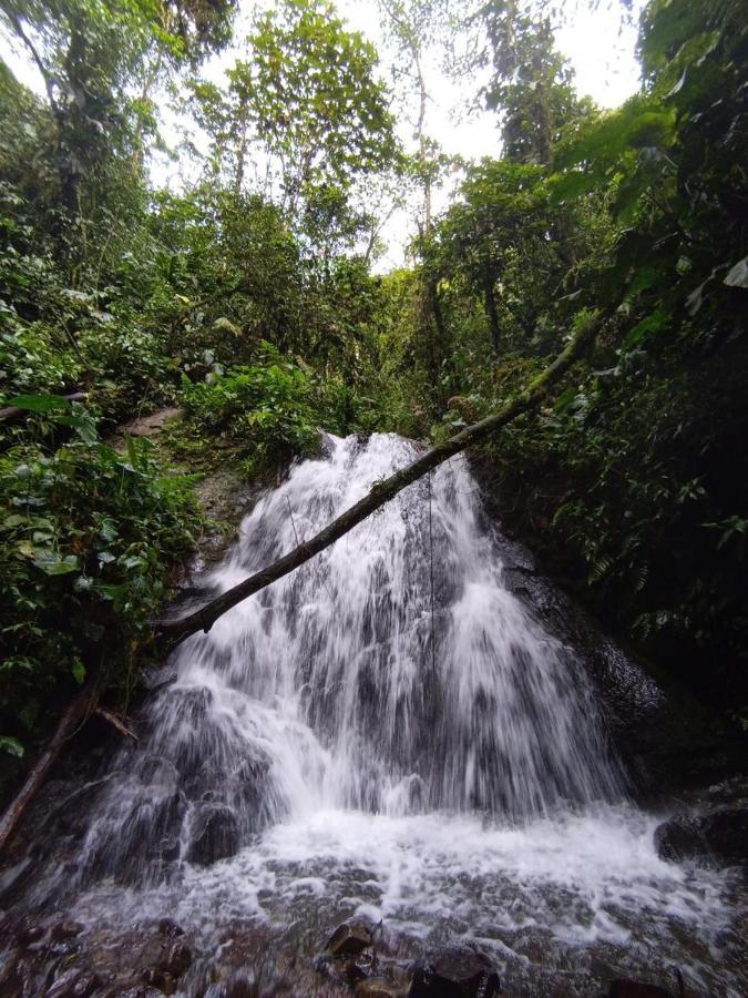 Mindo Eco Chalet Con Rio Y Cascada Esterno foto